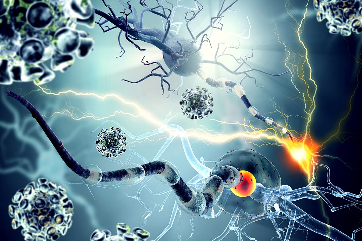 learn more about how parasites can affect multiple sclerosis patient and symptoms might have