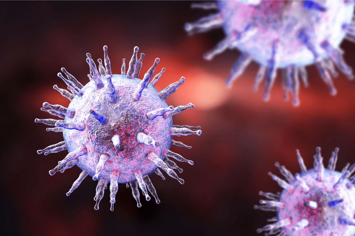 A close look at Epstein-Barr Virus