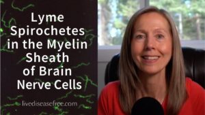 Lyme Spirochetes in Myelin Sheath of Brain Nerve Cells | Pam Bartha