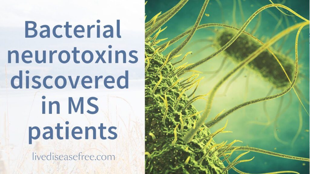 MS RESEARCH Bacterial neurotoxins discovered in MS patients Pam